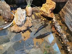 -大匠工房古船木艺术餐厅·猪肚鸡专门店(长白仙岛店)