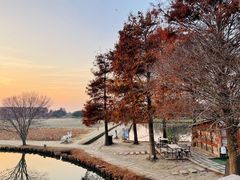 -广富林郊野公园