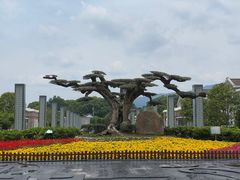 -溪口-滕头旅游景区