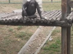 -石家庄市动物园