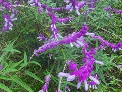 -徐家汇源景区-衡山公园