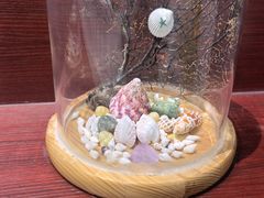 -青岛贝壳博物馆