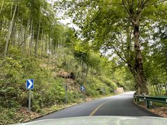 -莫干山风景区