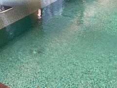 -福建省奥林匹克体育中心游泳馆