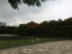 -缘生态云南菜·野生菌庭院餐厅(华侨城店)