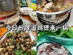 -广宁炭炉鸡煲·富临门饭店