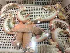 -龙宴海鲜城(经中路店)