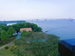 -大湾区中央湿地公园