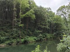 -素山寺森林公园