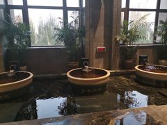 -弘安丽水温泉酒店