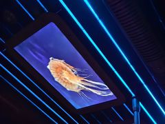 -海洋公园海洋列车－海滨站