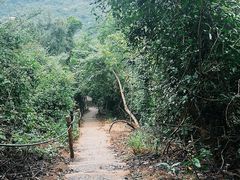 -马峦山郊野公园
