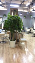 点击看大图 -霓·Hair