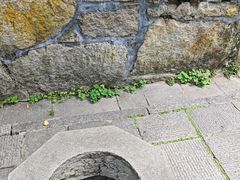 -青岛崂山太清宫