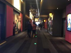 -万达影城(闵行颛桥万达广场杜比影院店)