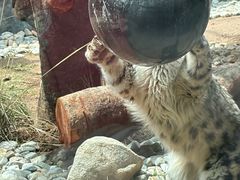 -青藏高原野生动物园