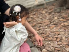 -七寻八找·胡同菜