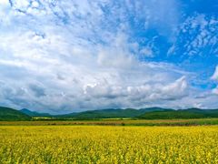 -敕勒川草原文化旅游区
