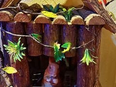 -月亮眼花园餐厅书吧酒吧