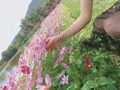 -亚龙湾国际玫瑰谷