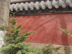 -护国法轮寺