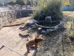 -无锡动物园·太湖欢乐园