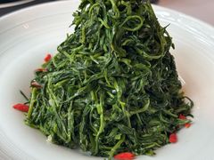 红果枸杞苗-清真·宁夏印象·盐池滩羊肉体验店(江宁路店)