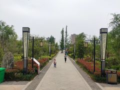 -南湖国家城市湿地公园