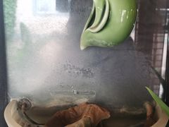 -厚山庭院重庆老火锅