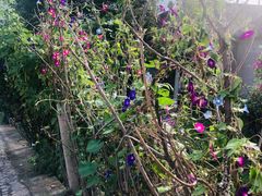 -野三坡清泉山风景区