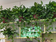 -启辰口腔(南坪店)