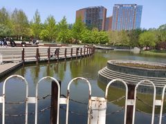 -大望京公园
