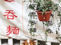 -小梁哥云吞面(黄贝岭店)
