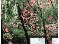 -龙门涧景区