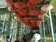 -陶祖圣境风景区