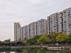 -洋湖国家湿地公园