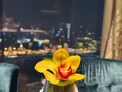-金轩中餐厅 Jin Xuan(浦东丽思卡尔顿酒店)