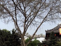 -泸州老窖景区