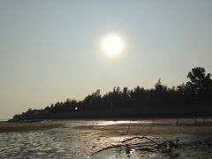 -北海金海湾红树林生态旅游区