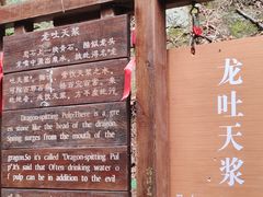 -本溪汤沟绿石谷森林公园