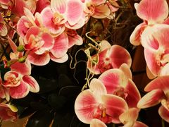 -曼谷王子宫殿酒店