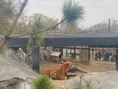 -武汉动物园