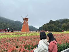 -广州市石门国家森林公园