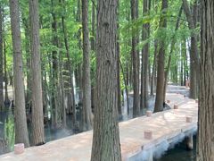 -东湖落雁景区