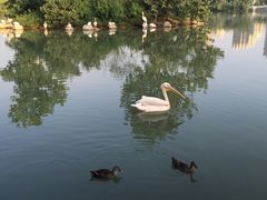 -三江森林温泉度假区