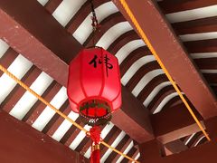 -东天目山风景区