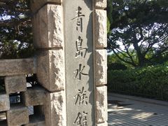 -青岛海底世界-水族馆