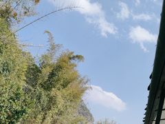 -明仕田园