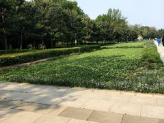 -北坞公园