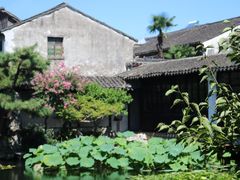 -艺圃